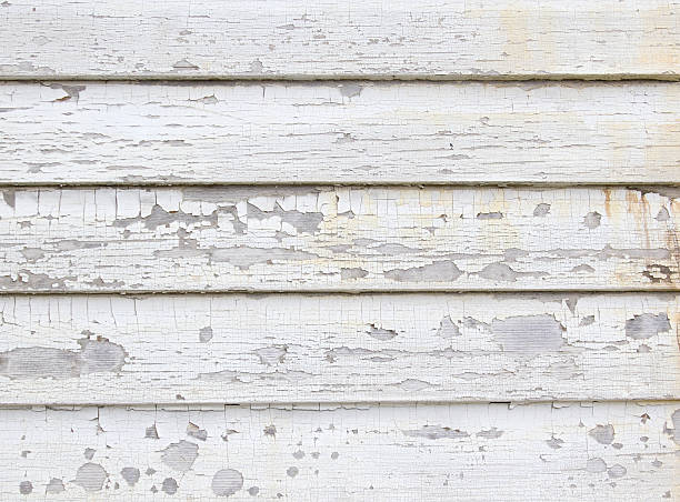 Best Dumpster Rental Services  in Hamilton, MT