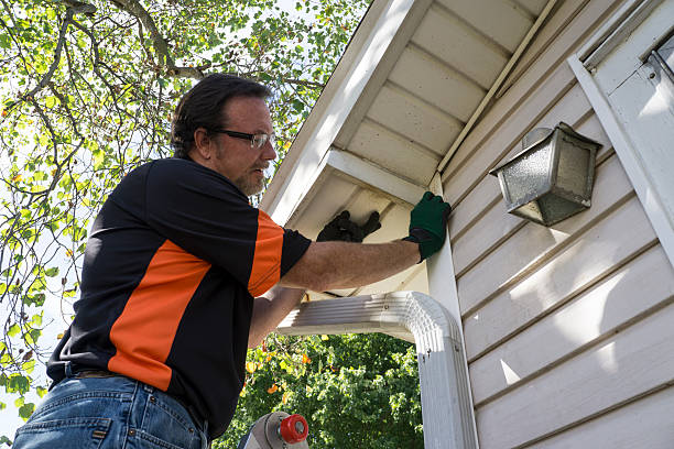 Best Moving and Downsizing Cleanouts  in Hamilton, MT